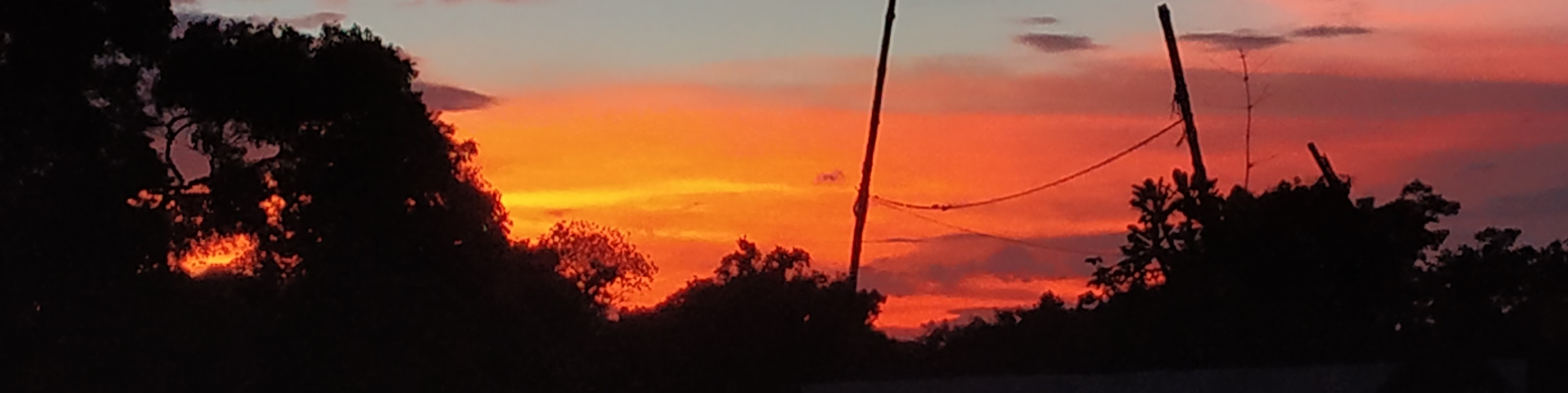 Banner1