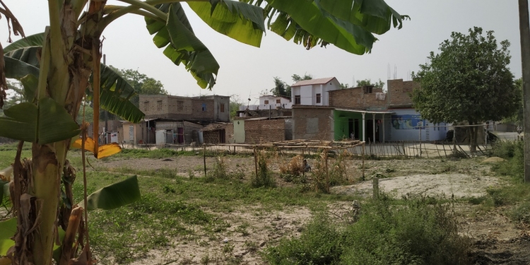 Democracy and Public Choice in Bihar: Land, Social Structures and Power Relations