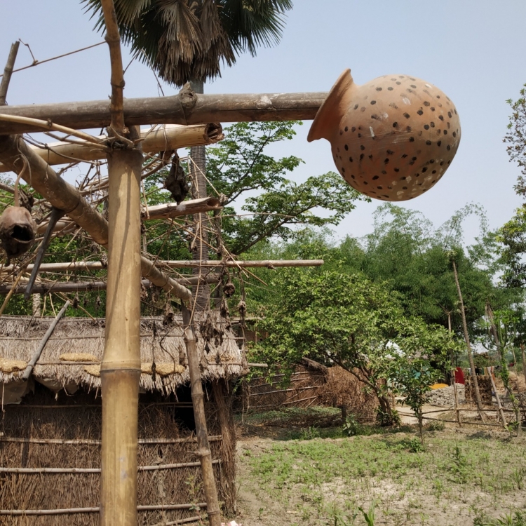 Social Preferences, Identity, Voice and Economic Development in Bihar